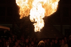 DSC00335-Feuerspucker-Gaukler-Gregor-50p